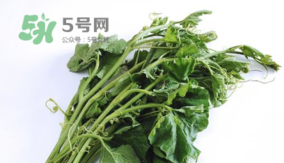 南瓜苗怎么做好吃？南瓜苗怎么撕？