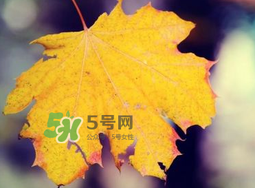 立秋后吃什么好？立秋后怎么養(yǎng)生？
