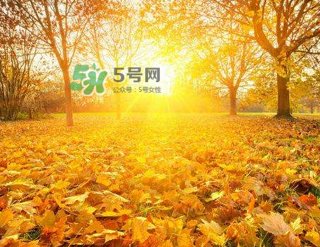 立秋后吃什么好？立秋后怎么養(yǎng)生？