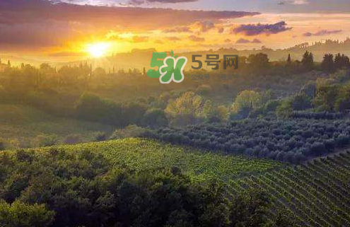 立秋后吃什么好？立秋后怎么養(yǎng)生？