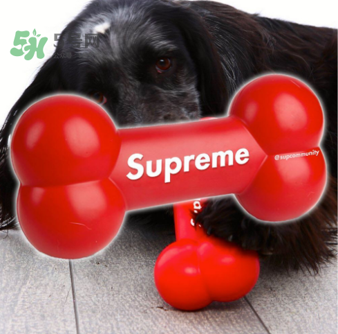 supreme狗骨頭玩具是真的嗎？supreme骨頭玩具會(huì)發(fā)售嗎？