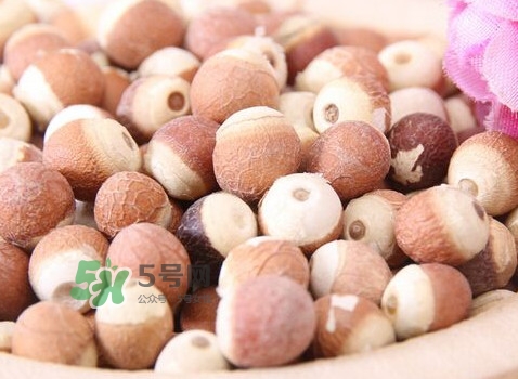 雞頭米是涼性的嗎？雞頭米是哪里的特產