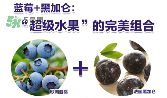 fancl藍莓護眼怎么樣？fancl藍莓護眼和pola護眼哪個好