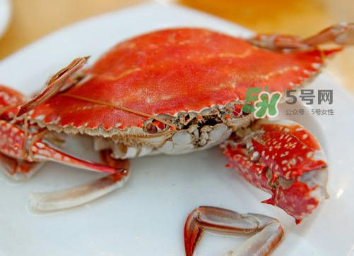 梭子蟹可以清蒸嗎？梭子蟹蒸還是煮？