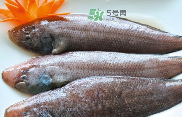 龍利魚怎么做給寶寶吃？龍利魚怎么處理