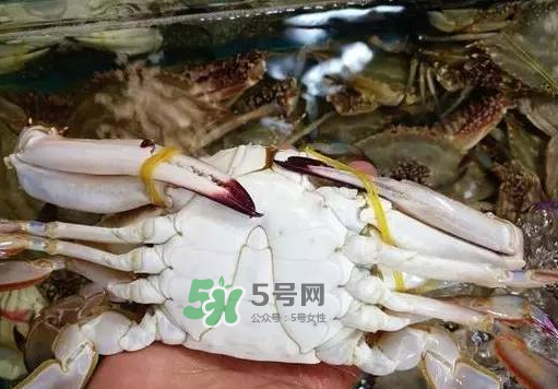 梭子蟹放冷藏還是冷凍？梭子蟹可以放速凍嗎？