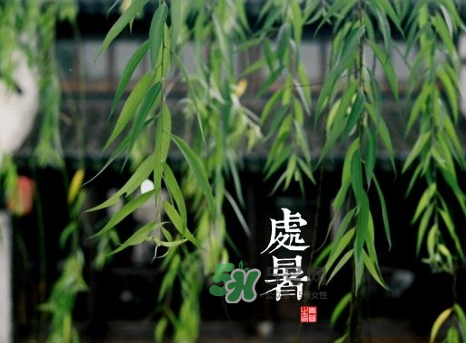 2017處暑還熱嗎？2017處暑后天氣還熱嗎？