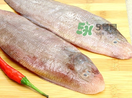 寶寶多大能吃龍利魚？幾個月的寶寶可以吃龍利魚