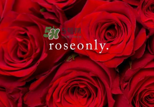 2017七夕禮盒roseonly多少錢？roseonly巨型玫瑰禮盒多少錢？