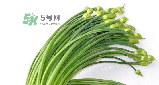 韭菜苔孕婦能吃嗎？孕婦可以吃韭菜苔嗎