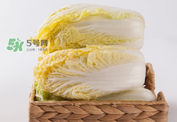 娃娃菜是什么季節(jié)的？娃娃菜什么時候種植