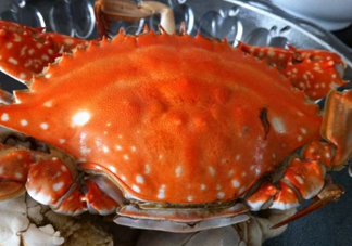 梭子蟹可以清蒸嗎？梭子蟹蒸還是煮？