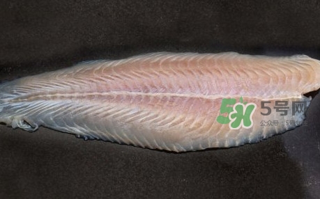 龍利魚是淡水魚嗎？龍利魚是巴沙魚嗎