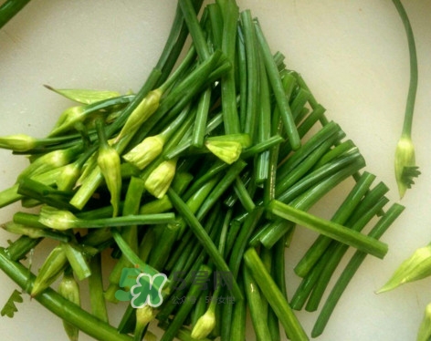 韭菜苔孕婦能吃嗎？孕婦可以吃韭菜苔嗎