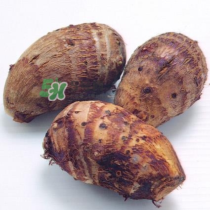 中秋節(jié)為什么吃芋頭？中秋節(jié)吃芋頭的來(lái)源