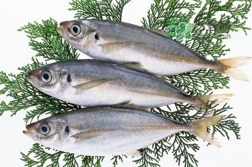 龍利魚(yú)是鱈魚(yú)嗎？龍利魚(yú)和鱈魚(yú)哪個(gè)好吃