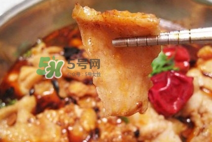 龍利魚(yú)有刺嗎？龍利魚(yú)有魚(yú)鱗嗎