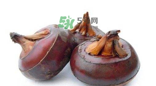 野荸薺怎么吃？野荸薺的食用功效