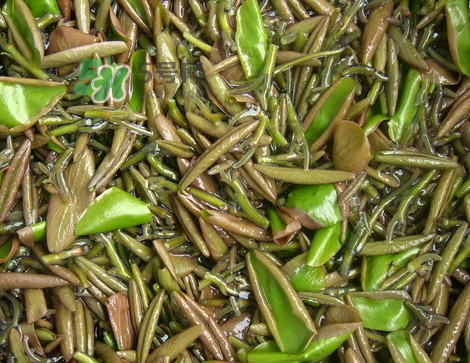 莼菜是發(fā)物嗎？莼菜涼拌要過(guò)開(kāi)水嗎