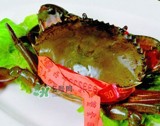 青蟹能放幾天？青蟹能活多久？