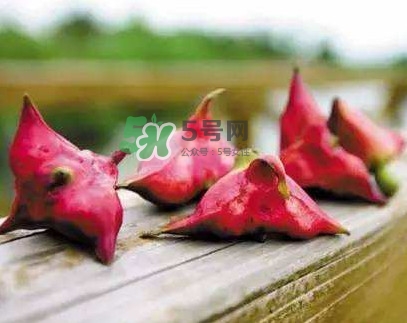 紅菱什么時(shí)候上市？什么時(shí)候采紅菱