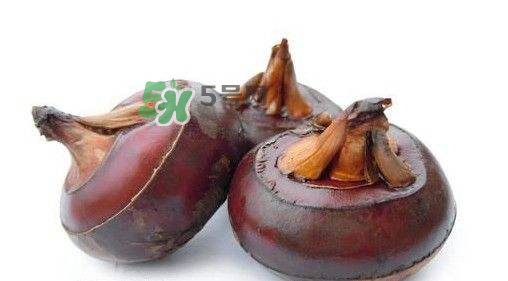 吃荸薺有什么好處？吃荸薺的禁忌
