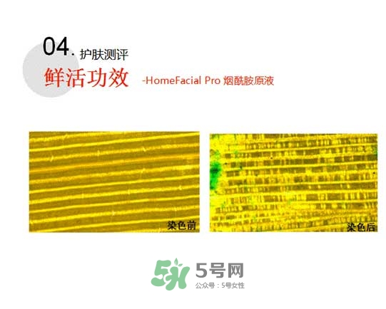 homefacialpro煙酰胺原液怎么樣？hfp煙酰胺原液好用嗎