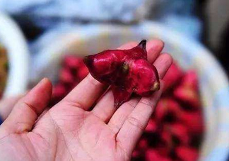 紅菱怎么吃？吃紅菱有什么好處？