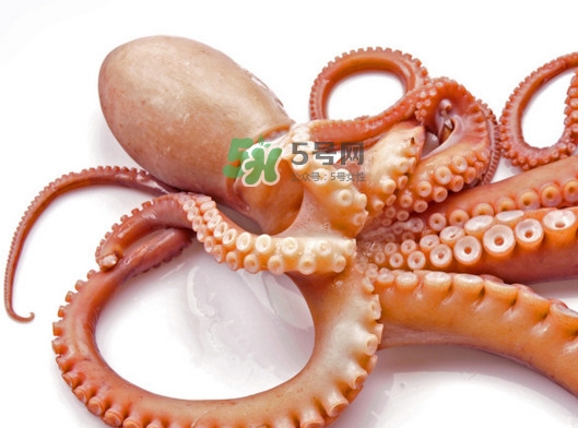 章魚(yú)有幾個(gè)心臟？章魚(yú)有幾條腿