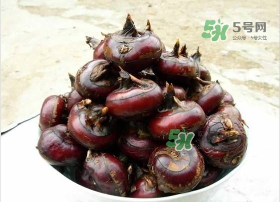野荸薺是什么樣子的？野荸薺的營(yíng)養(yǎng)價(jià)值
