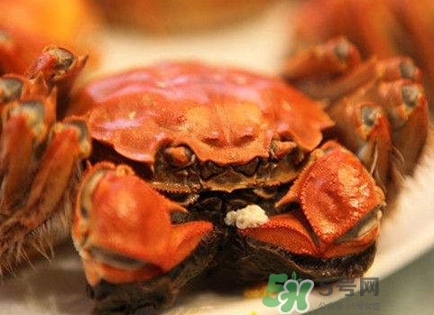 太湖蟹什么時候上市？太湖蟹幾月份有