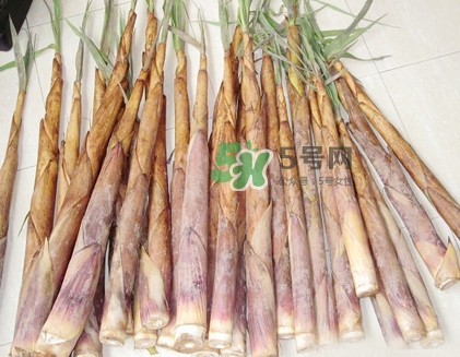苦筍是什么竹子？苦筍是發(fā)物嗎