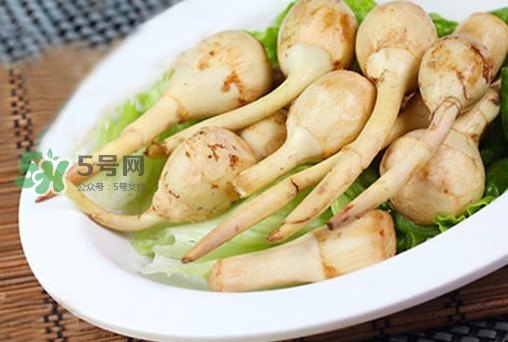 慈姑什么時候種植？慈姑什么時候上市