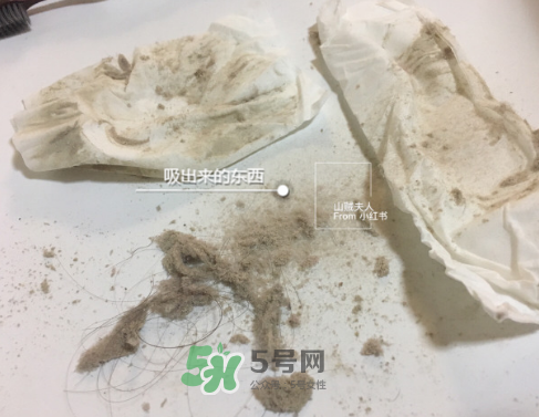 除螨儀真的能除螨嗎？除螨儀到底有沒有用？