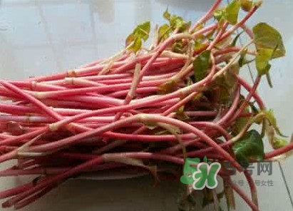 魚(yú)腥草一次吃多少最好？魚(yú)腥草一天吃多少合適