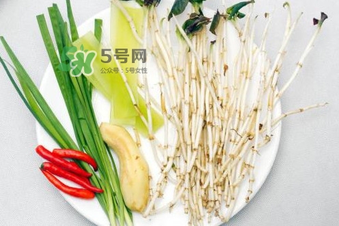 魚(yú)腥草用開(kāi)水泡可以嗎？魚(yú)腥草用量多少克？