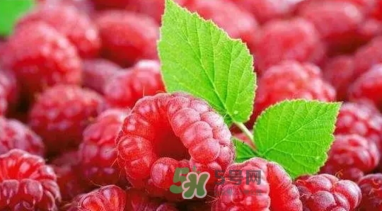 pola莓果酵素怎么吃？pola紅莓酵素怎么樣？