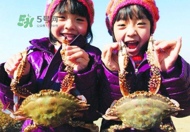青島梭子蟹多少錢一斤？青島梭子蟹什么時候上市？