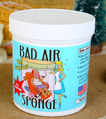 Bad Air Sponge有用嗎？Bad Air Sponge效果如何？