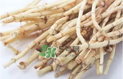 折耳根怎么清洗？折耳根如何冼才干凈