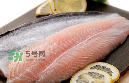 巴沙魚是鯰魚嗎？巴沙魚是海魚嗎