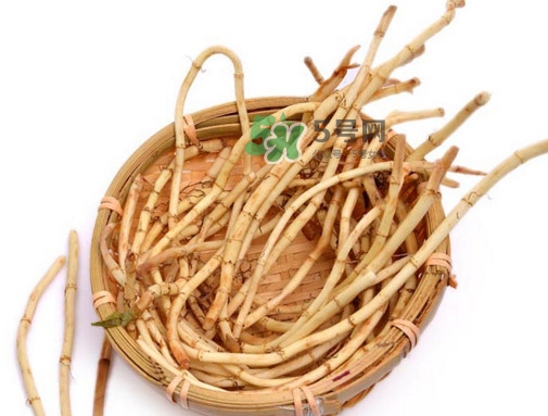 折耳根有毒嗎？折耳根有毒吃了會傷腎？