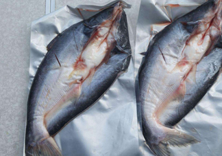 巴沙魚到底能不能吃？吃巴沙魚有什么危害嗎