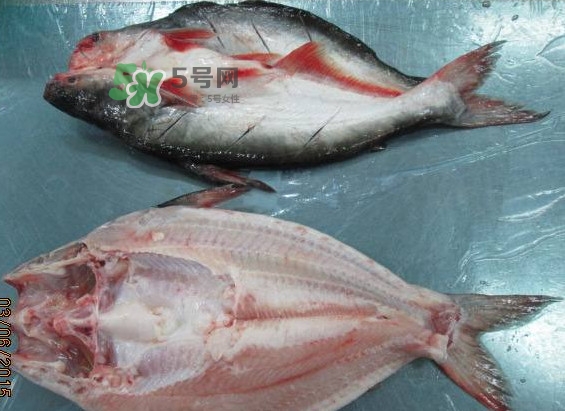巴沙魚是鯰魚嗎？巴沙魚是海魚嗎