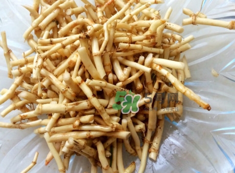 魚腥草可以和蜂蜜一起喝嗎？蜂蜜能和魚腥草一起泡嗎