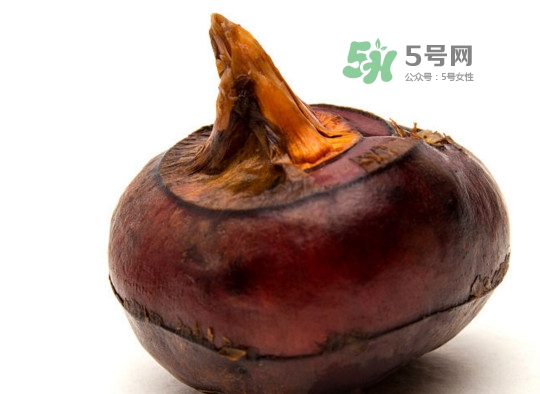 慈姑什么時候種植？慈姑什么時候上市