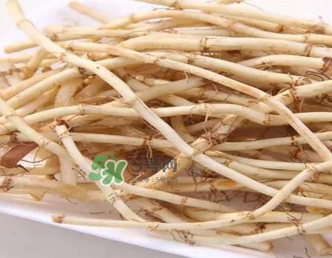 經(jīng)常吃折耳根有什么好處？折耳根的用法用量
