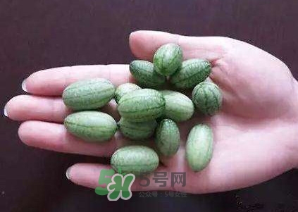 拇指西瓜怎么吃？拇指西瓜好吃嗎