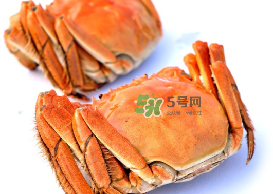 板蟹蒸多長時間？板蟹蒸多久時間能熟？