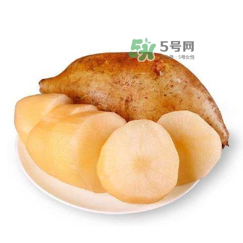 雪蓮果怎么挑？雪蓮果怎么儲存方法？
